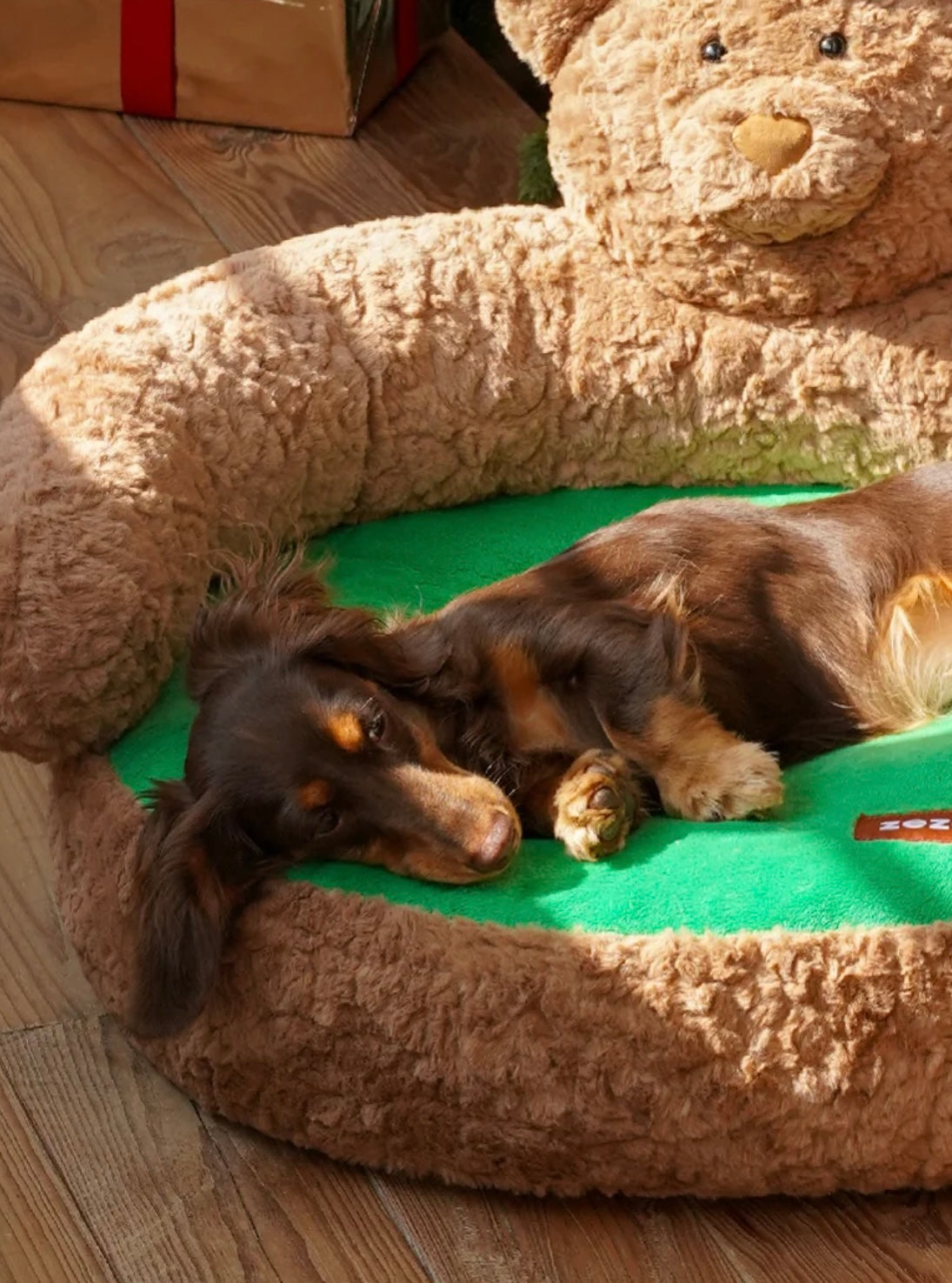 Teddy Bear Pet Bed